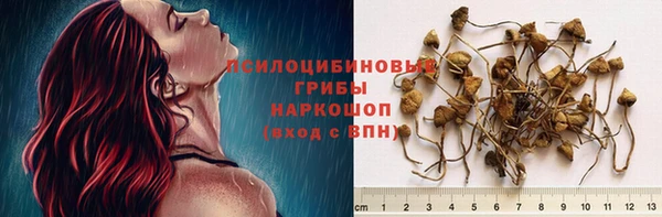 спайс Верхний Тагил